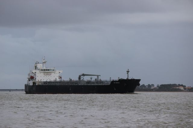 MR Sirius - Estuaire - 18 janvier 2014 (3).JPG
